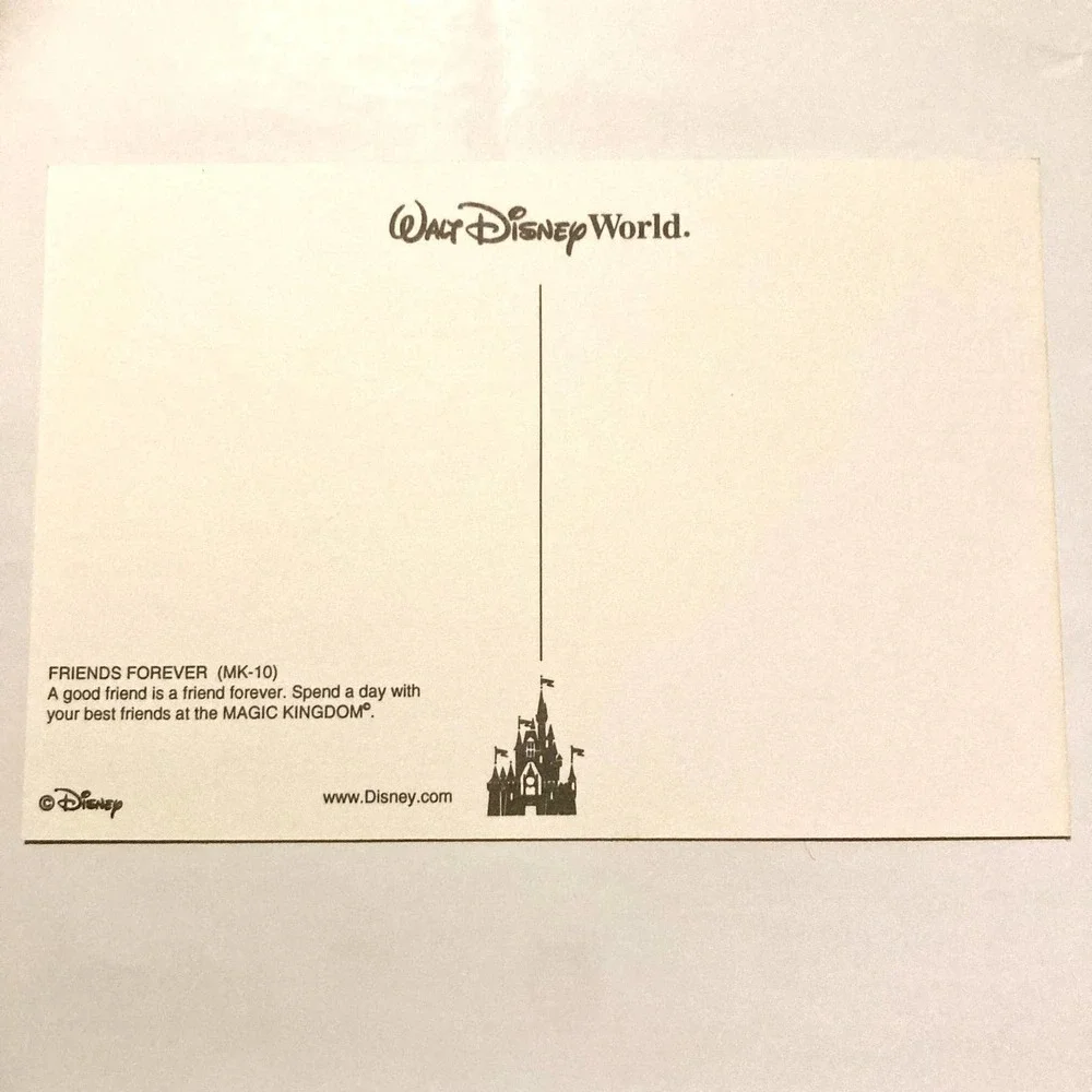 Mickey and Friends at Castle Walt Disney World 4x6 Postcard